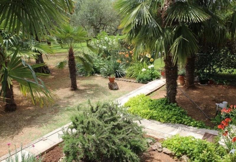 Apartment Plava Plaza Βόντιτσε Εξωτερικό φωτογραφία